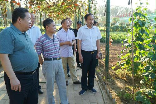 王淮平副巡视员一行在市工商局仝局长和市烟草局魏局长等陪同下到烟草