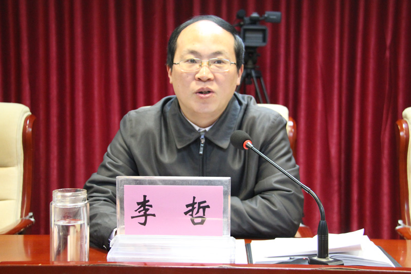 李哲副市作重要讲话